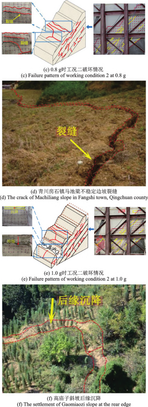图片9_副本.png