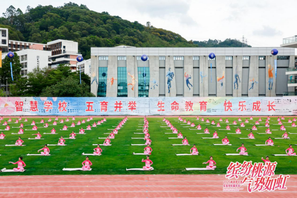 最好的“我们”，燃动最炽热的夏天——中澳实验学校2025年嘉年华系列活动开幕式精彩上演