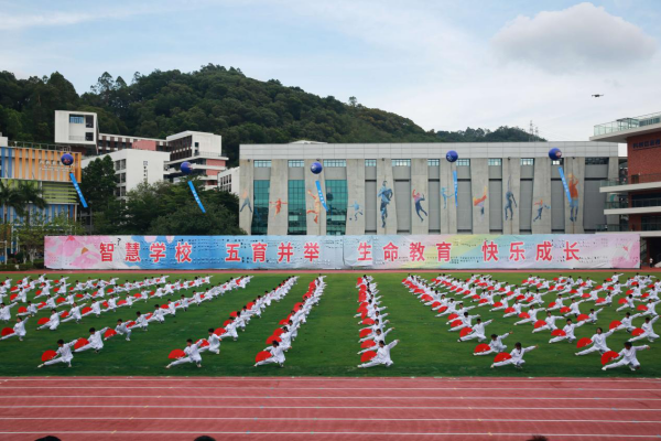 最好的“我们”，燃动最炽热的夏天——中澳实验学校2025年嘉年华系列活动开幕式精彩上演