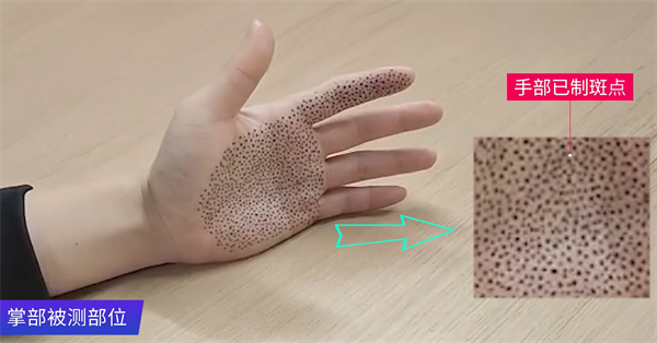 图片10.png 图片10.png