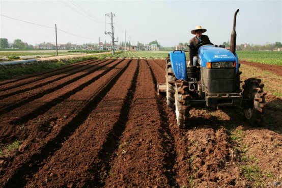 土壤保卫战：后代无忧引领绿色农业新革命